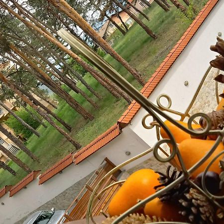 Апартамент Allegri Padrini Комплекс Вели Хилс Velingrad Bagian luar foto